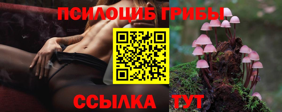 Галлюциногенные грибы Cubensis Ликино-Дулёво